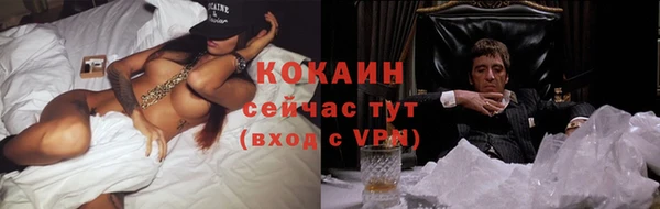 соль ск Абаза
