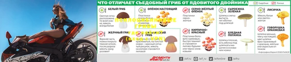 соль ск Абаза