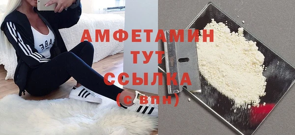 дмт Няндома