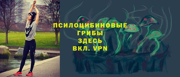 соль ск Абаза