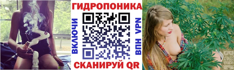 Канабис конопля  блэк спрут зеркало  Усмань  купить наркоту 